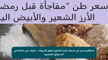 استقرار جديد في أسعار الأرز الشعير اليوم الأربعاء.. تعرف على الحالة في الأسواق المصرية